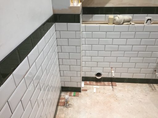 Bathroom wall partially tiled with white and dark green rectangular tiles.
